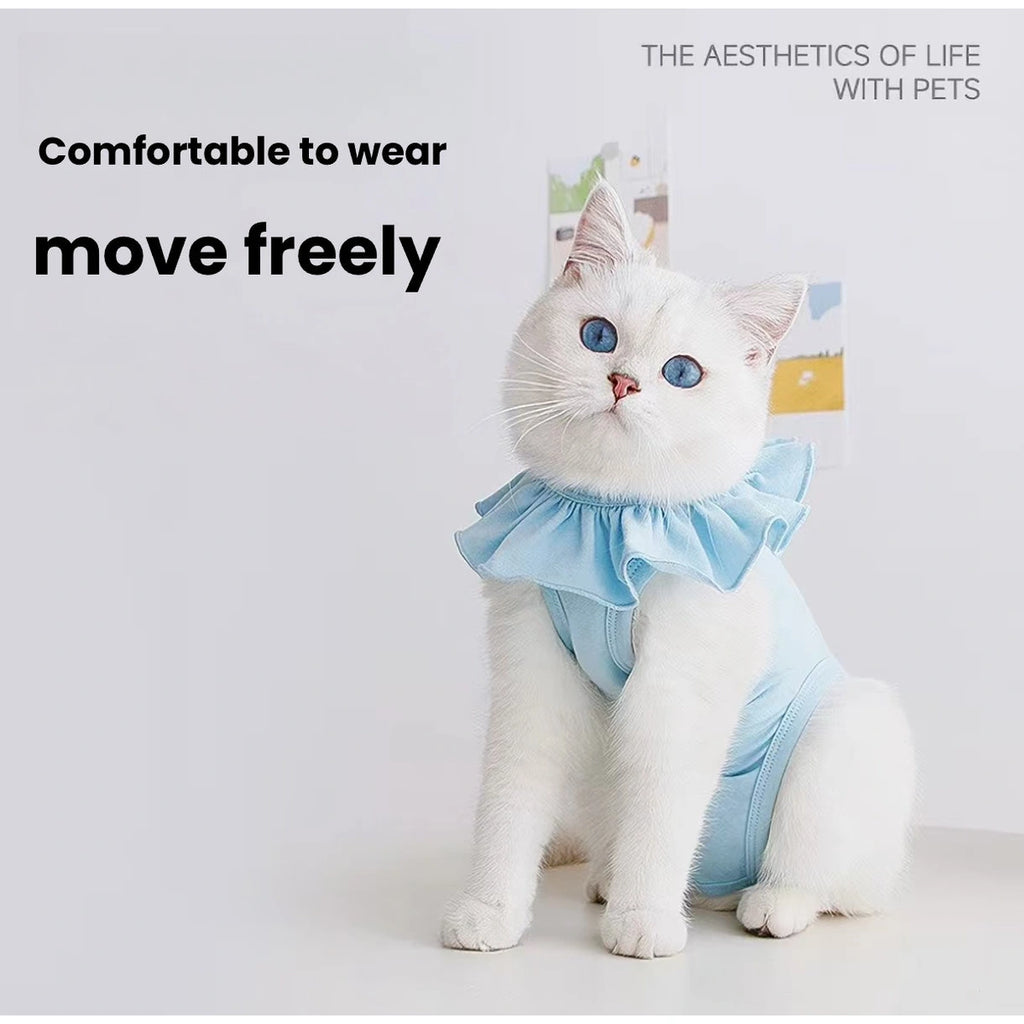 Cat wearing a blue Meoof recovery-style suit