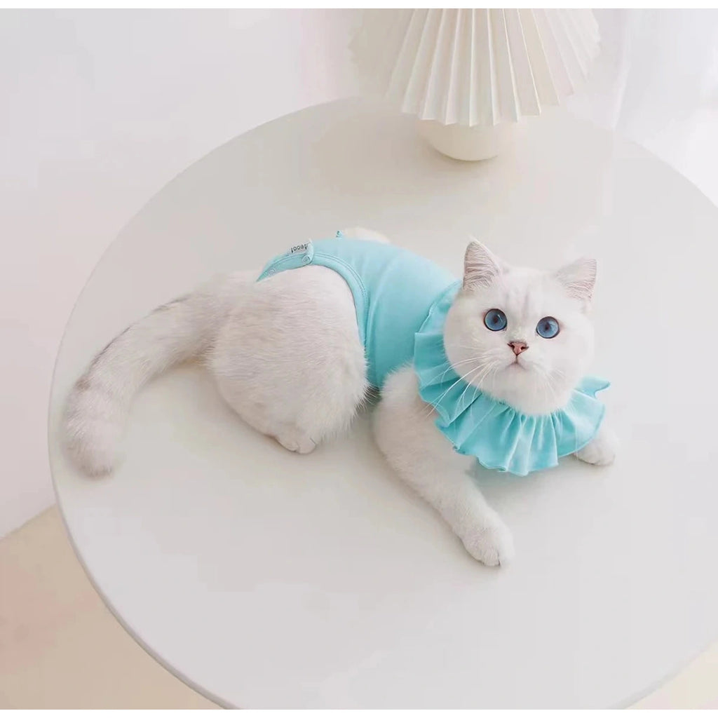 Cat resting in a blue Meoof recovery-style suit