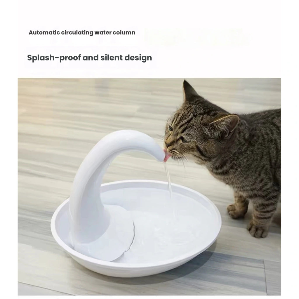 Cat drinking from the Swan fountain