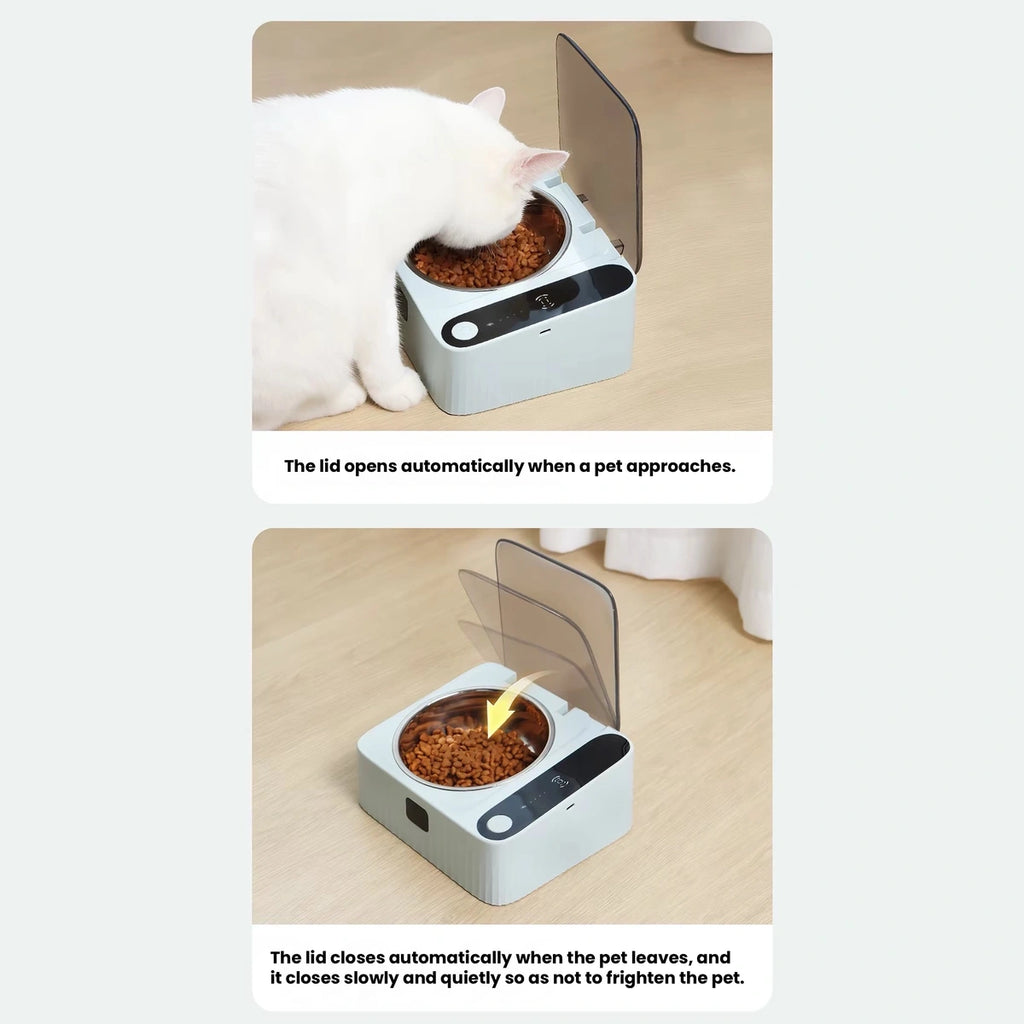 Cat eating from the Tanu sensor-opening bowl