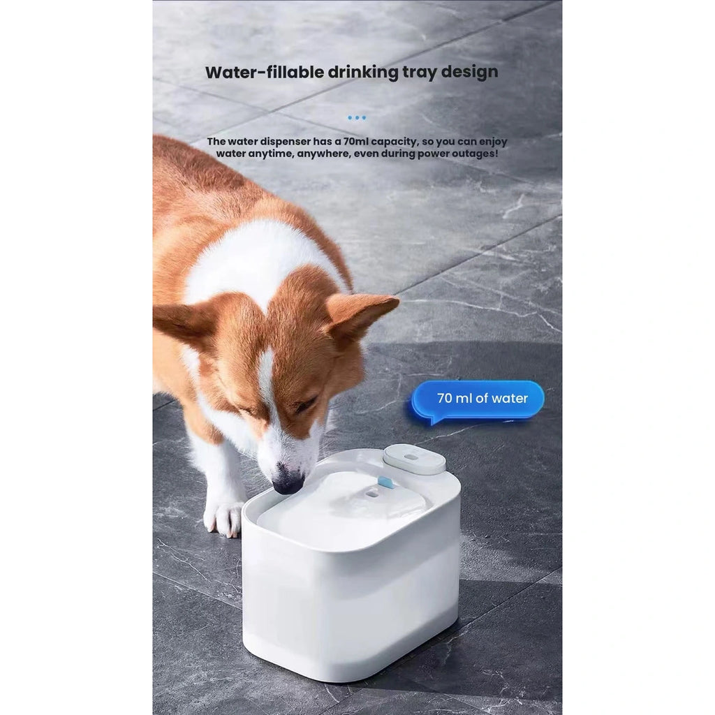 Dog drinking from a PAWGETHER P4 fountain