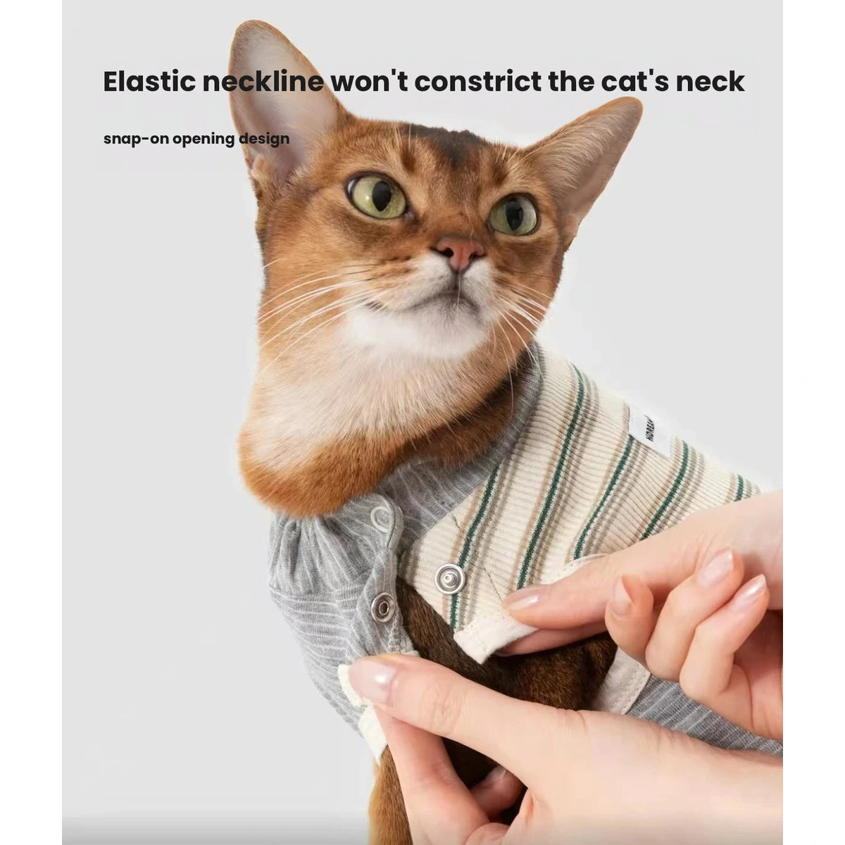 Close-up of cat wearing striped HiDREAM bodysuit