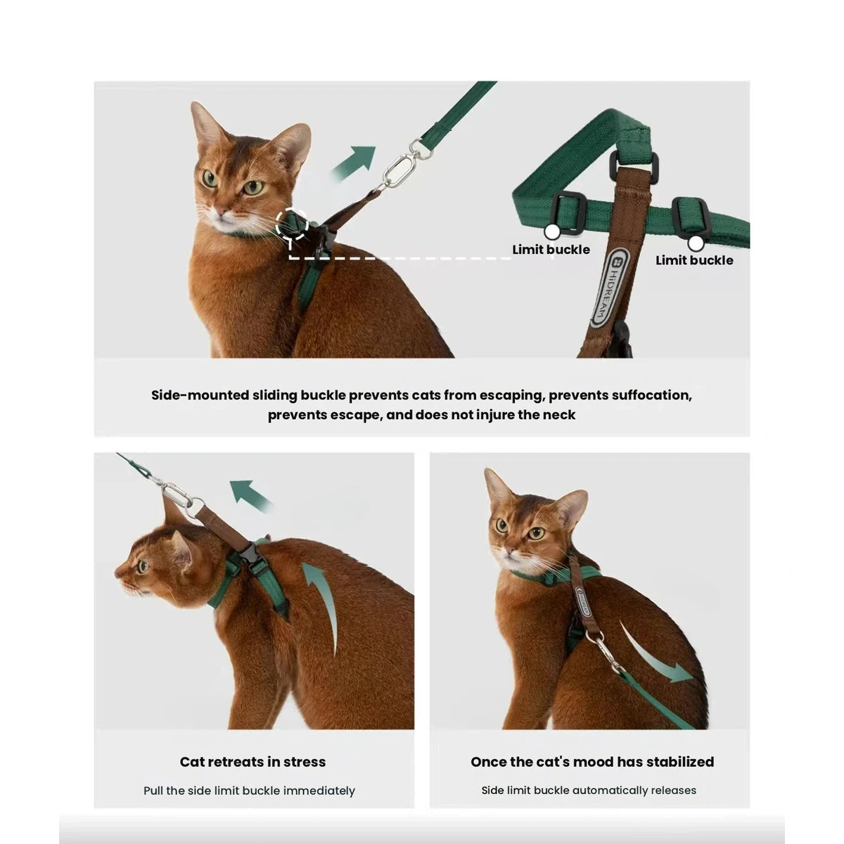 Cat wearing green HiDREAM harness front and side views