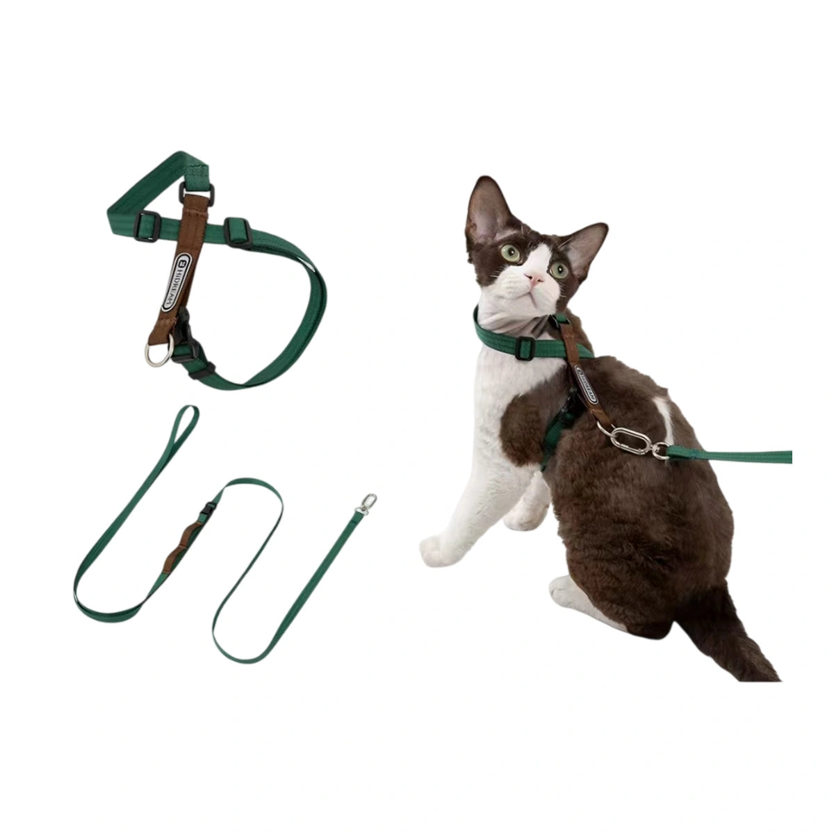 Green HiDREAM harness and lead on cat