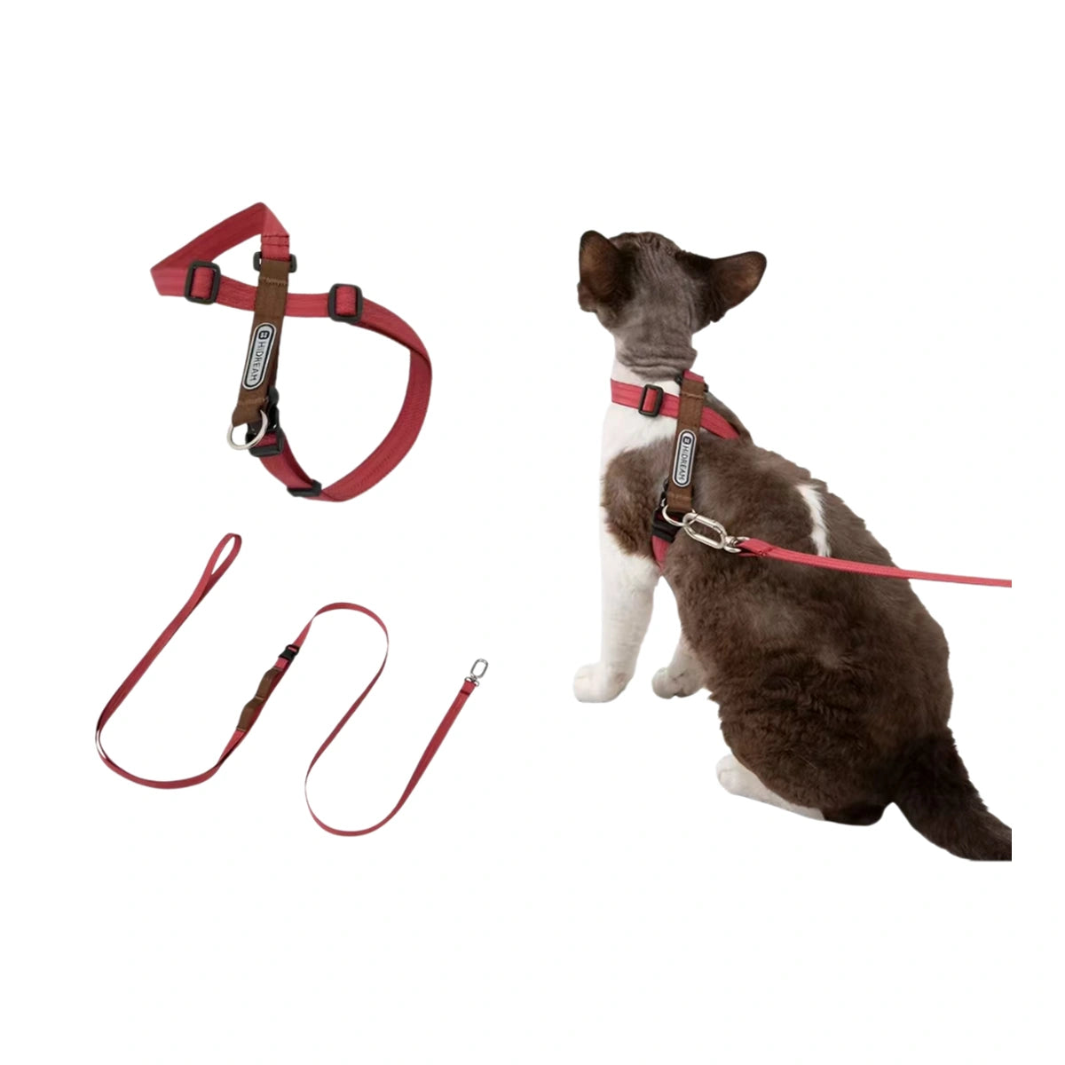 Red HiDREAM harness and lead on cat