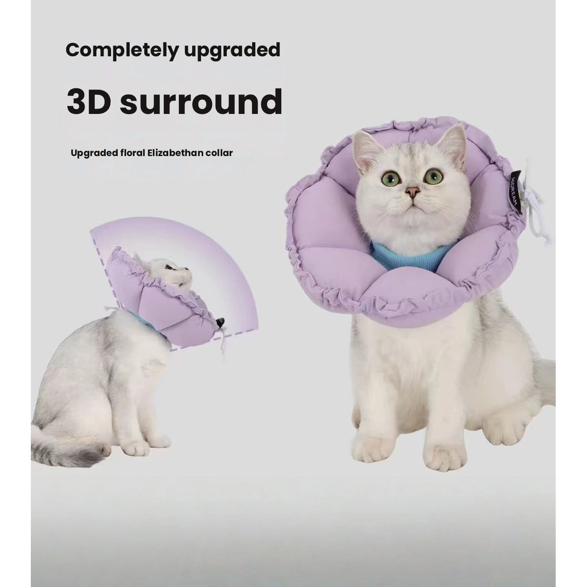 Cat wearing purple HiDREAM padded collar