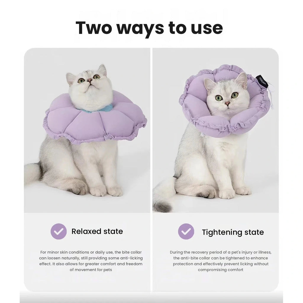 HiDREAM soft collar wearing positions