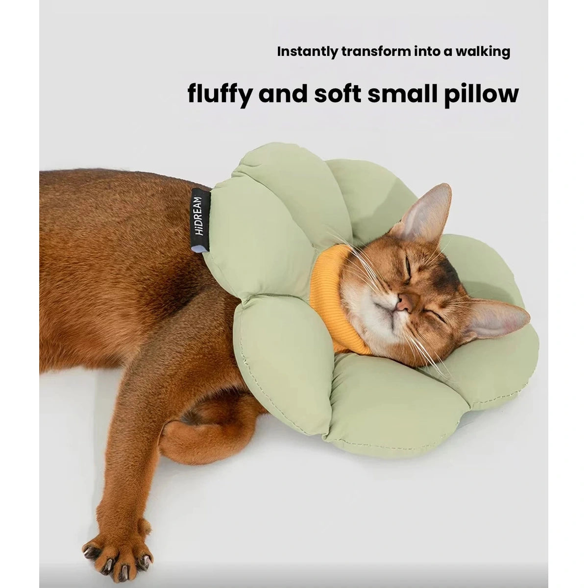 Cat resting in a green flower-style collar