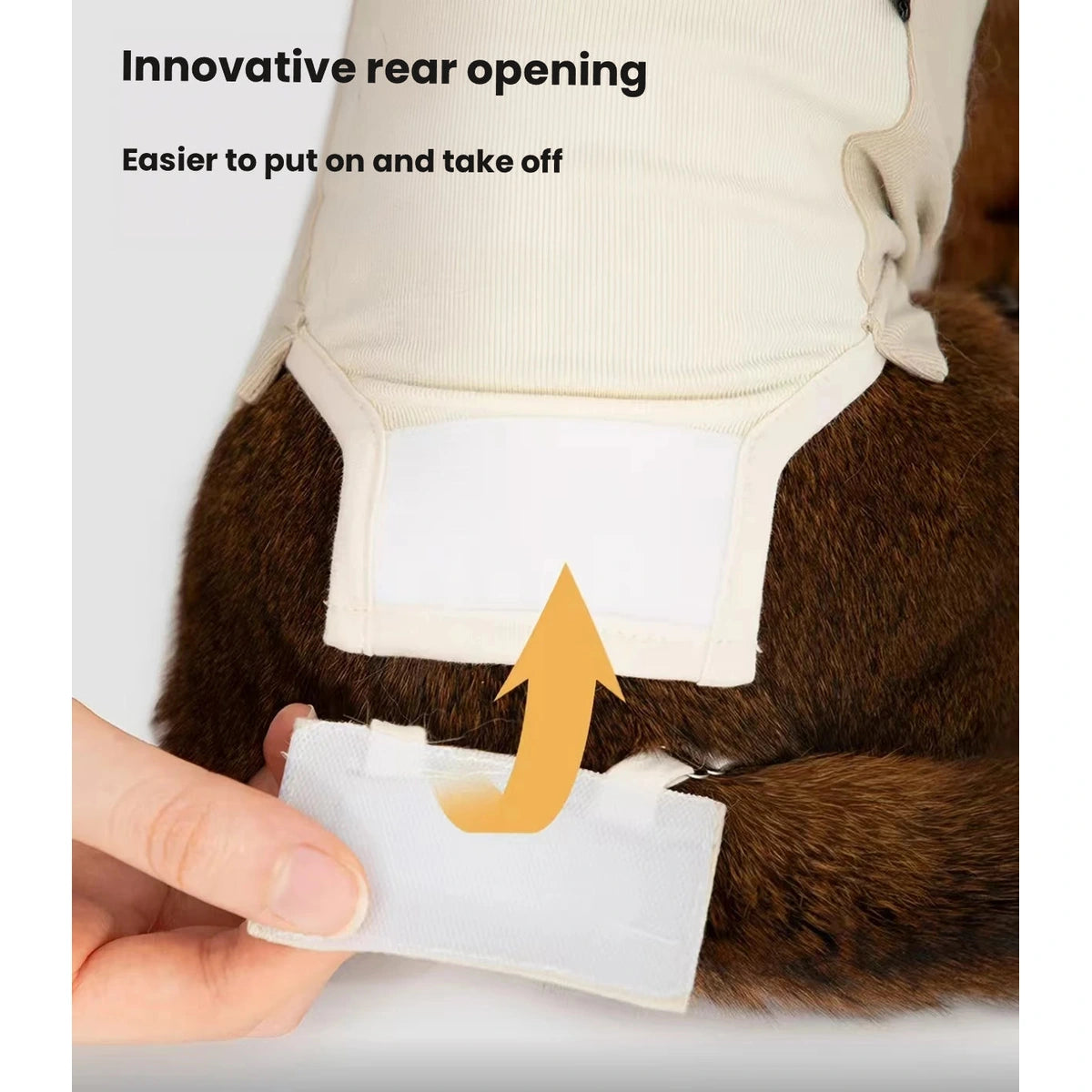 HiDREAM bodysuit rear opening detail