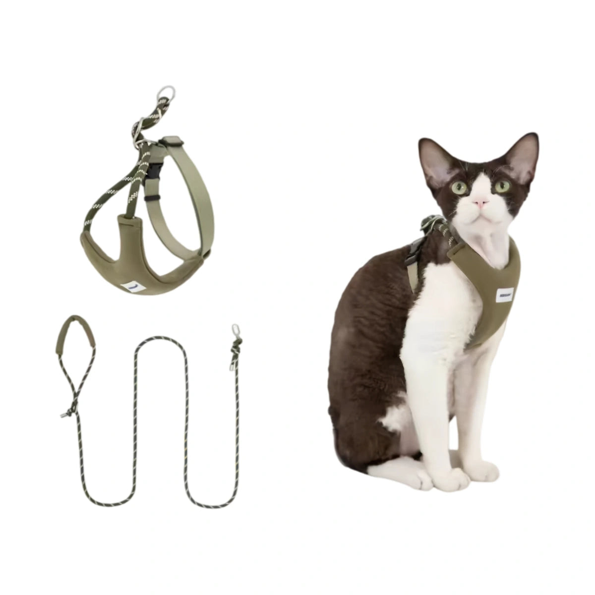 Grey HiDREAM Y-style harness on cat