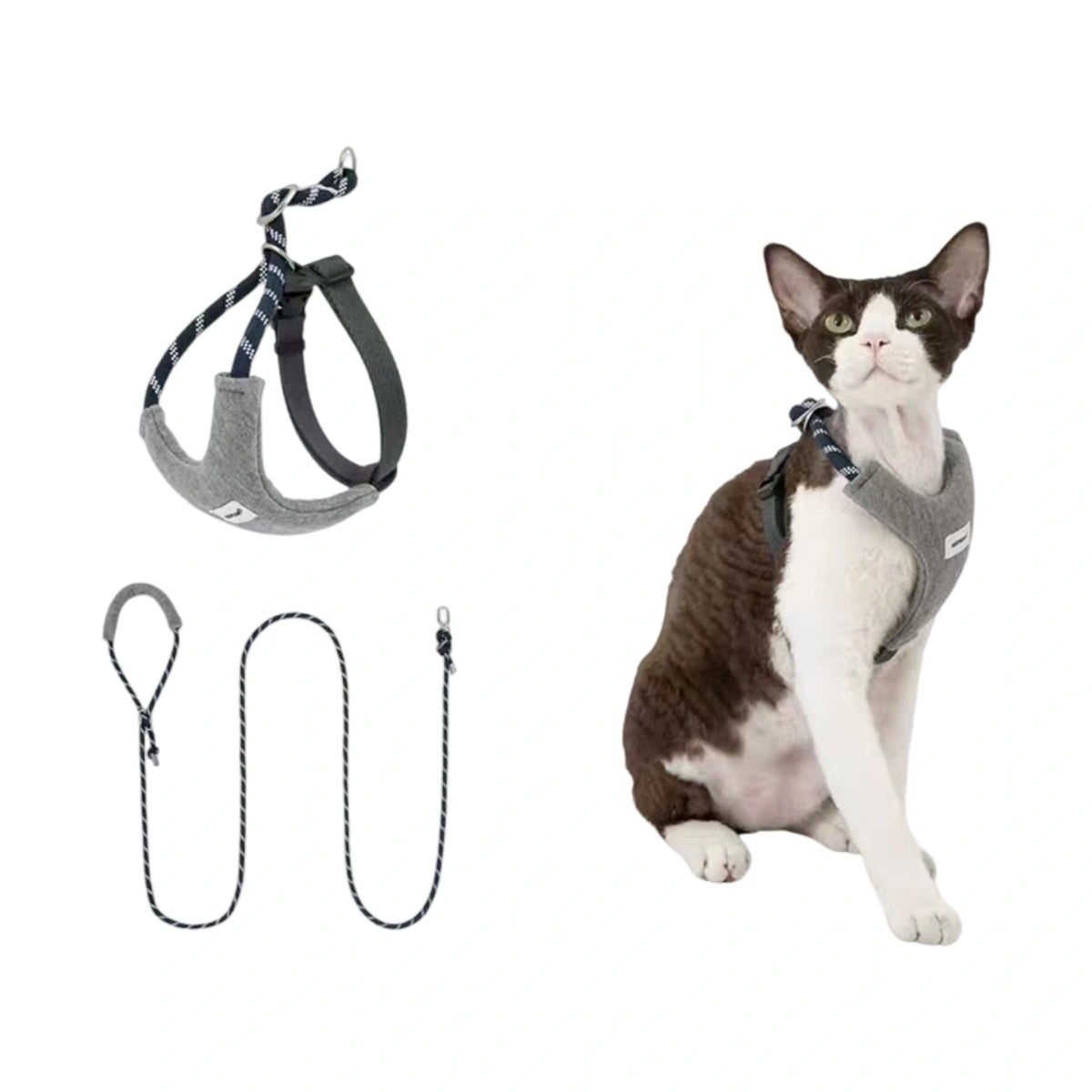 Green HiDREAM Y-style harness on cat