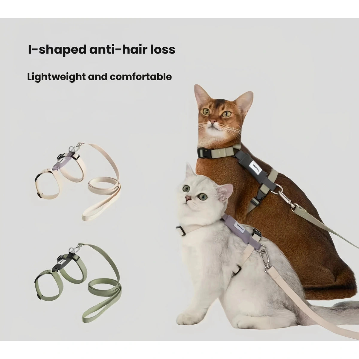 Cat wearing brown HiDREAM H-style harness
