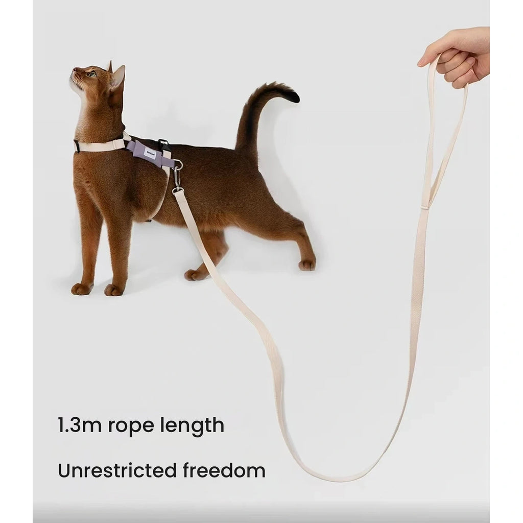 Cat walking with a HiDREAM harness and lead