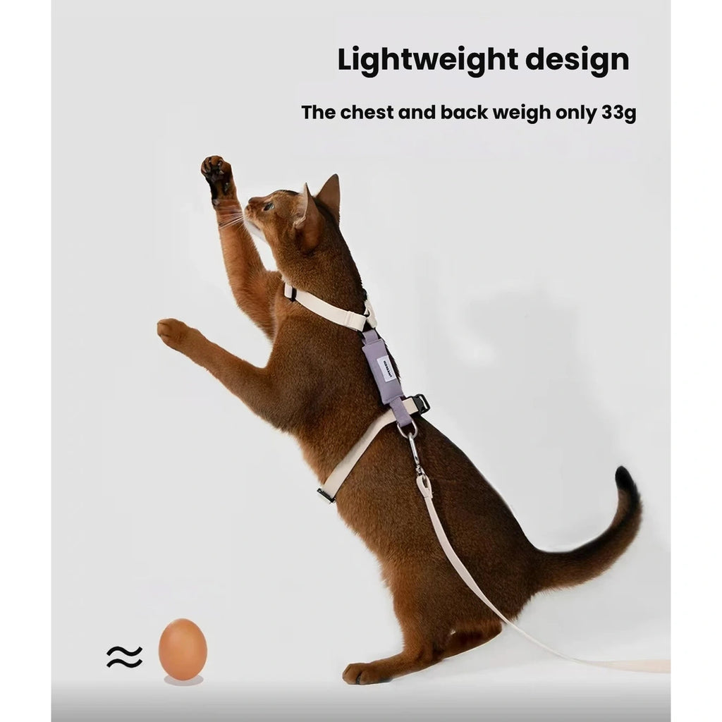 Cat in lightweight HiDREAM strap harness