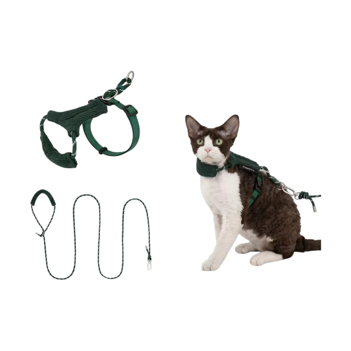 Green HiDREAM corduroy harness on cat