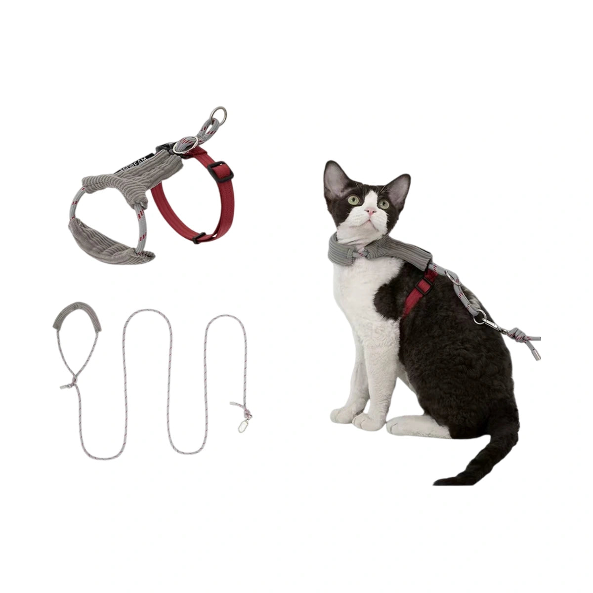 Grey HiDREAM corduroy harness on cat