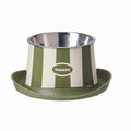 Elevated pet bowl with green stand and stainless-steel dish