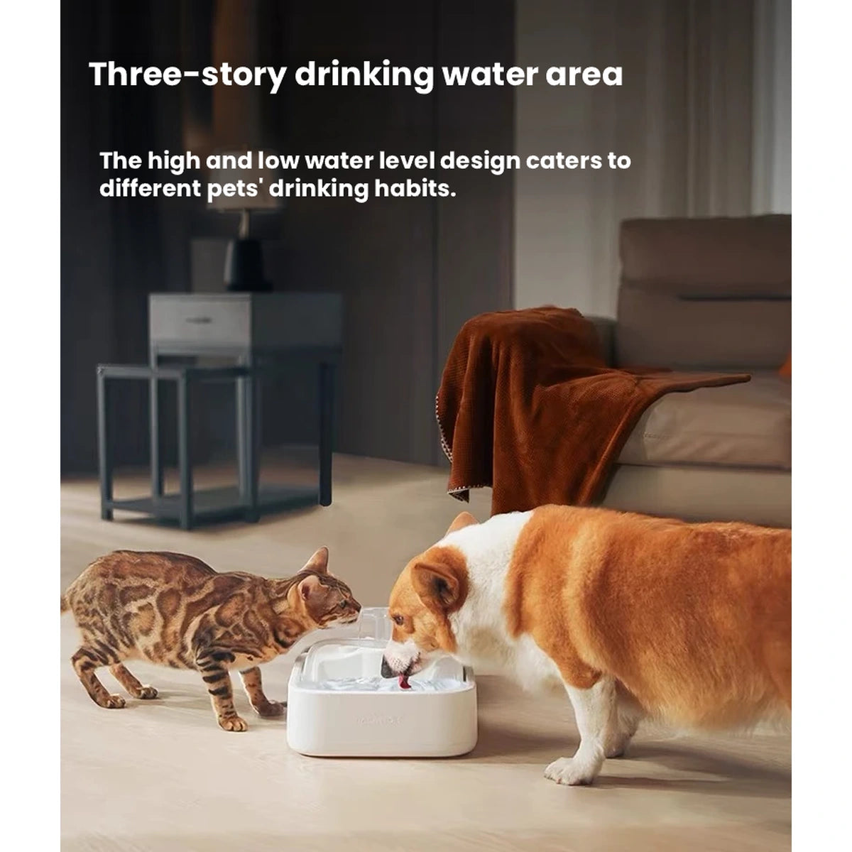 LALAHOME fountain shown beside a cat and dog