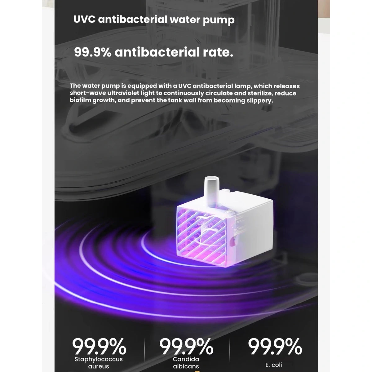Petsee S2 Pro pump and light-feature illustration