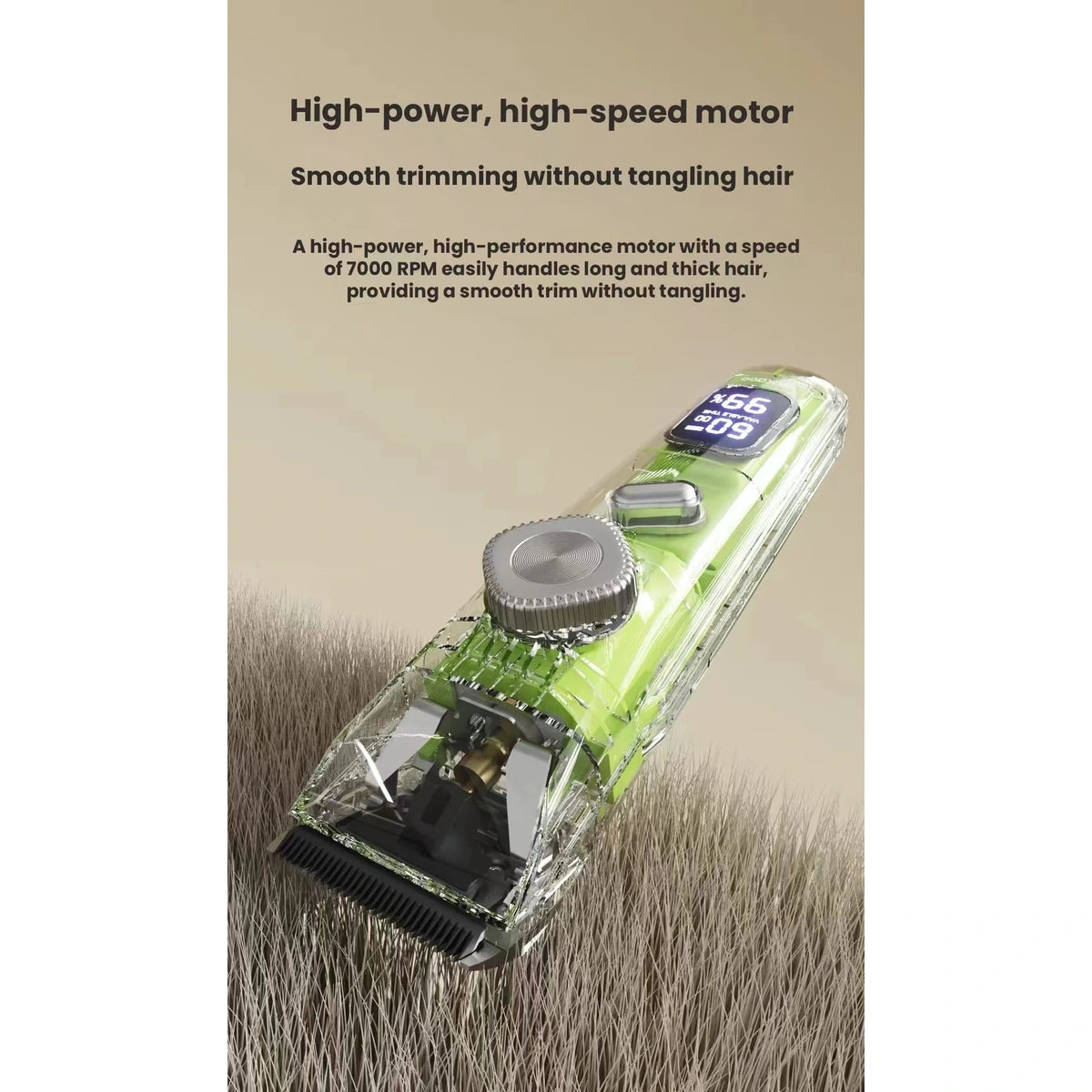 Green Pukaco clipper with motor-feature illustration