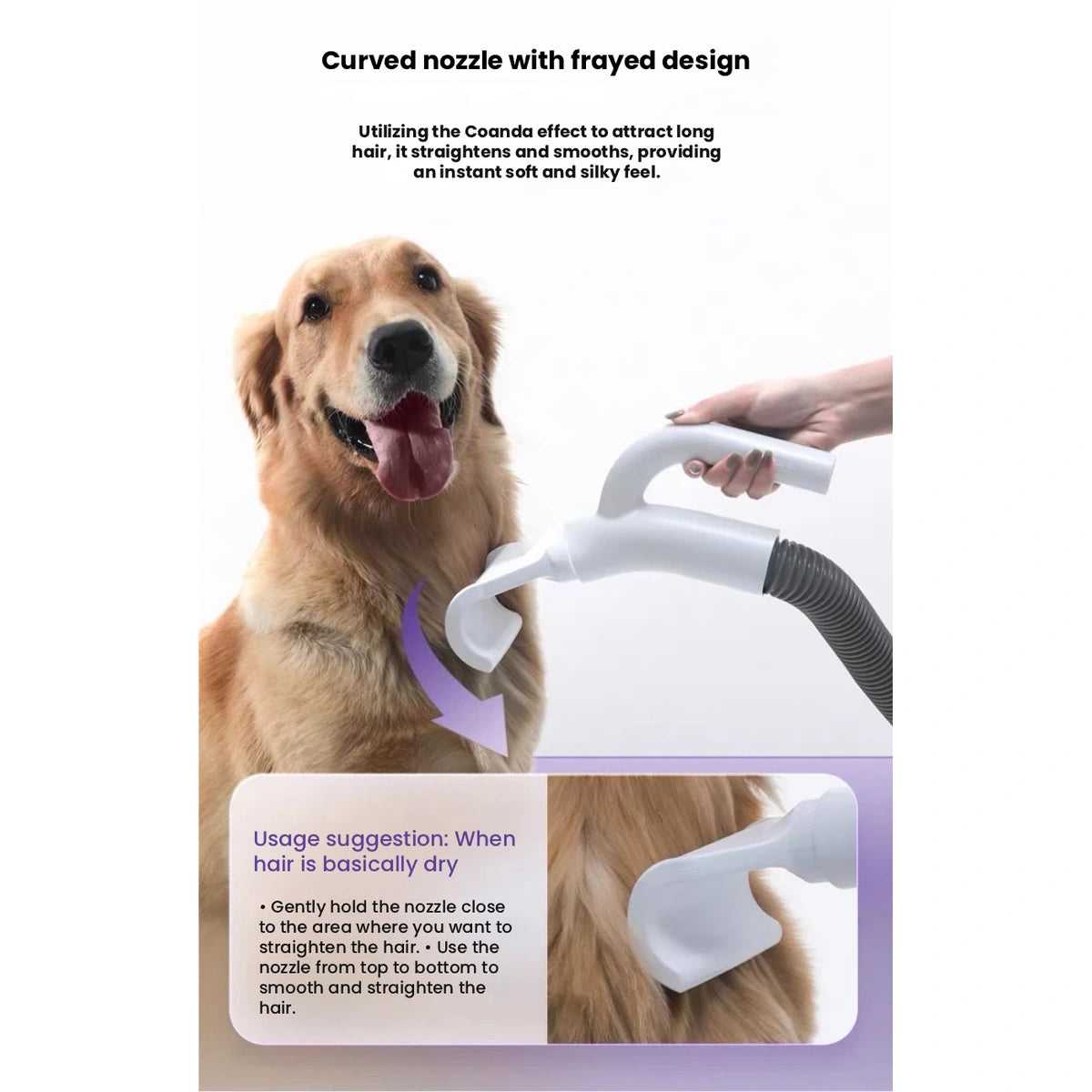 Dog beside the dryer and its control details