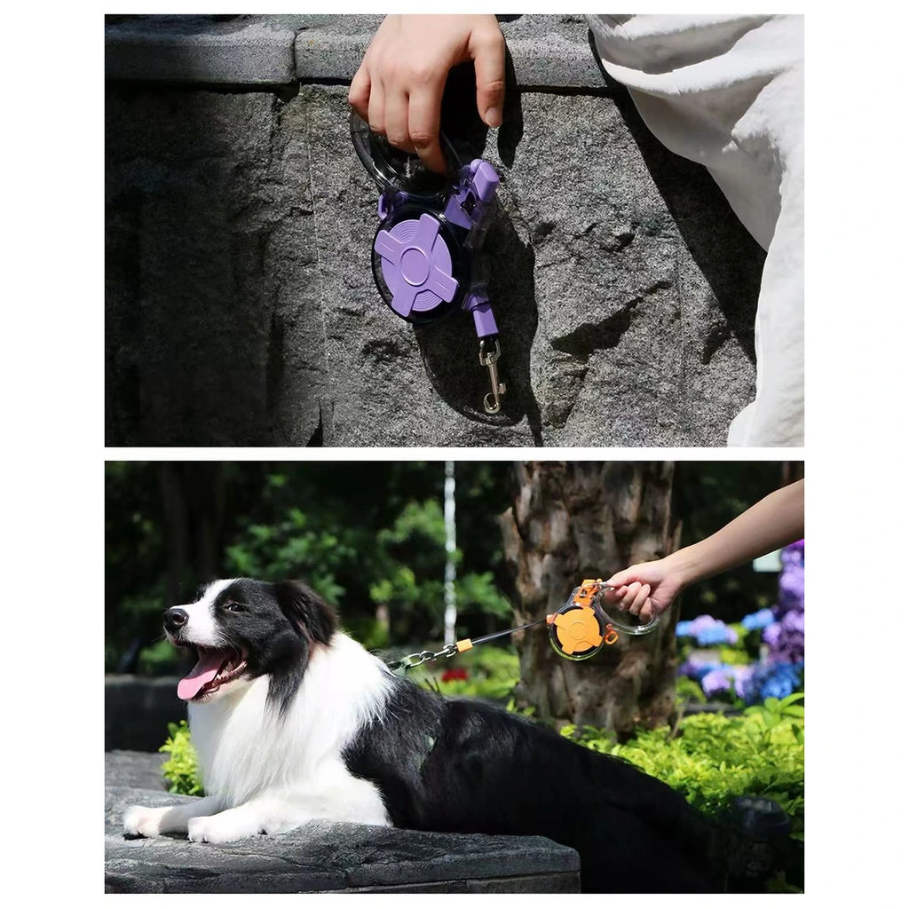 Dogs walked outdoors using the transparent-housing retractable lead