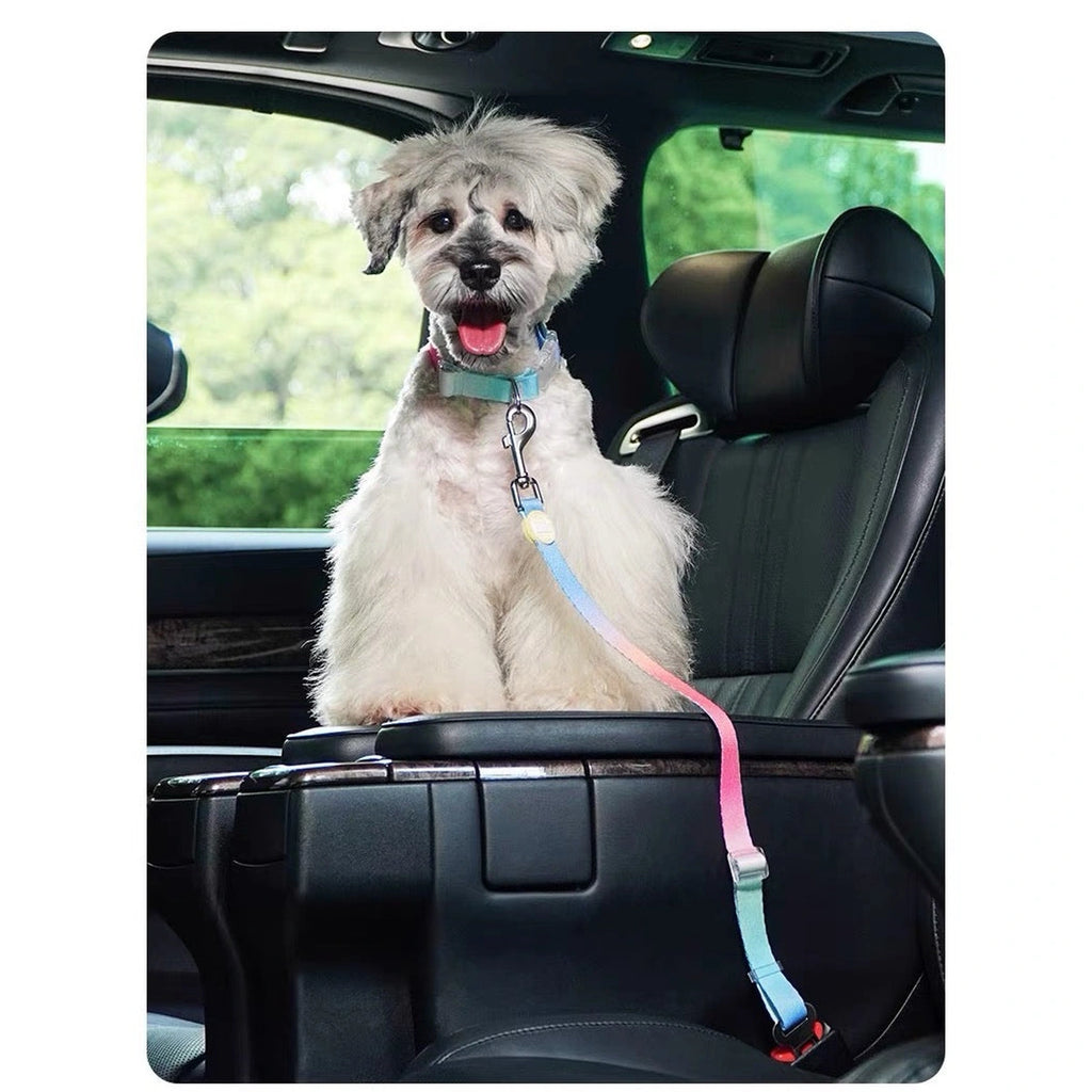 Dog seated in a car with a Touchdog restraint lead
