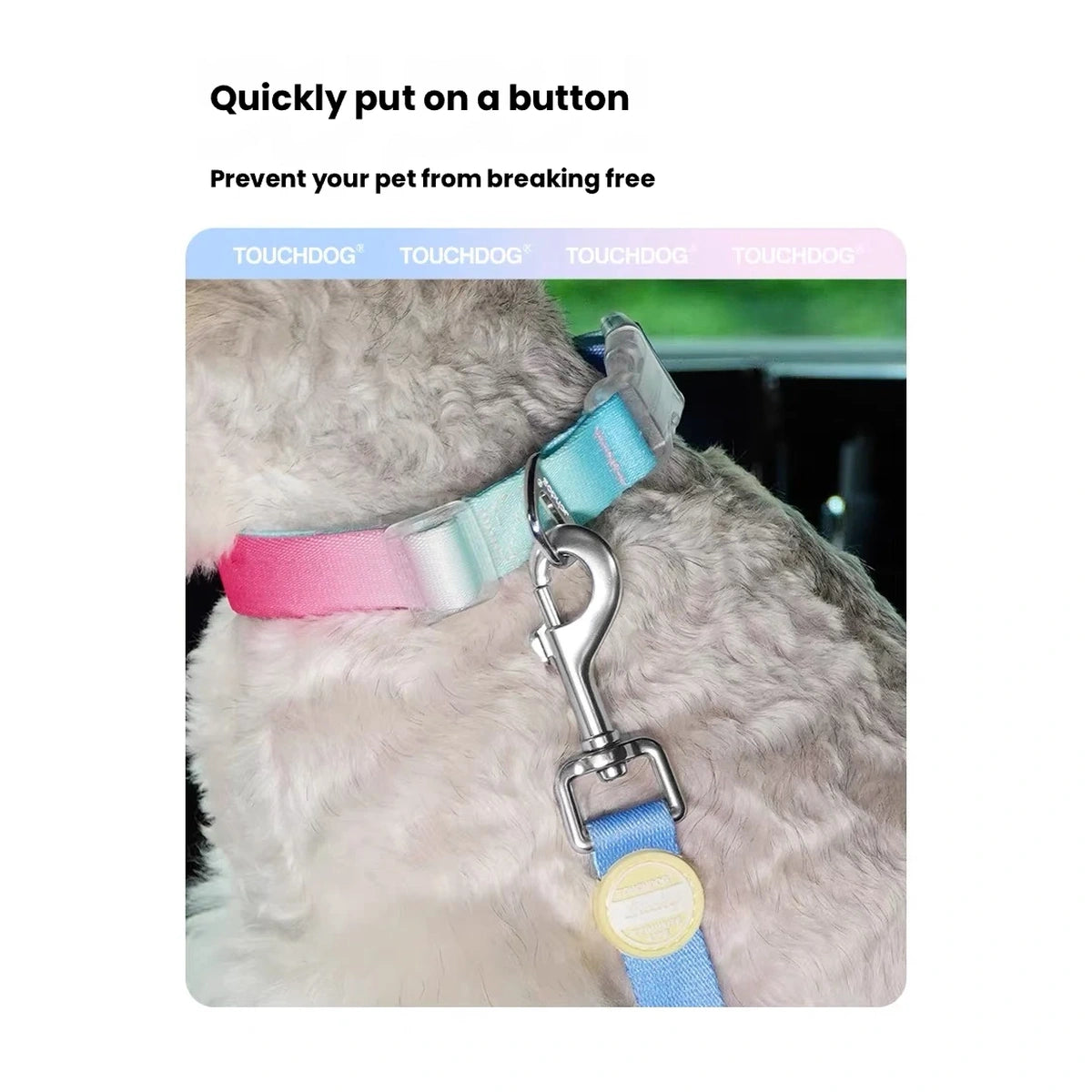 Clip attachment detail on the Touchdog dog travel lead