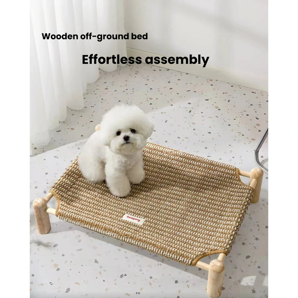White dog seated on a tan woven raised pet cot