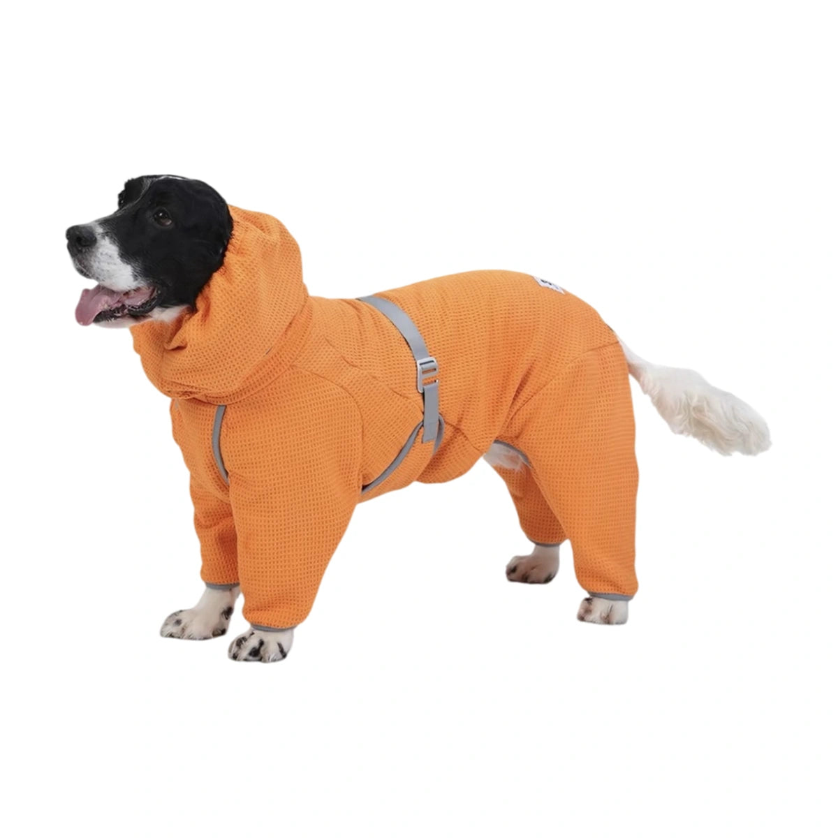 Dog wearing the orange Smile Bomb Lab drying robe
