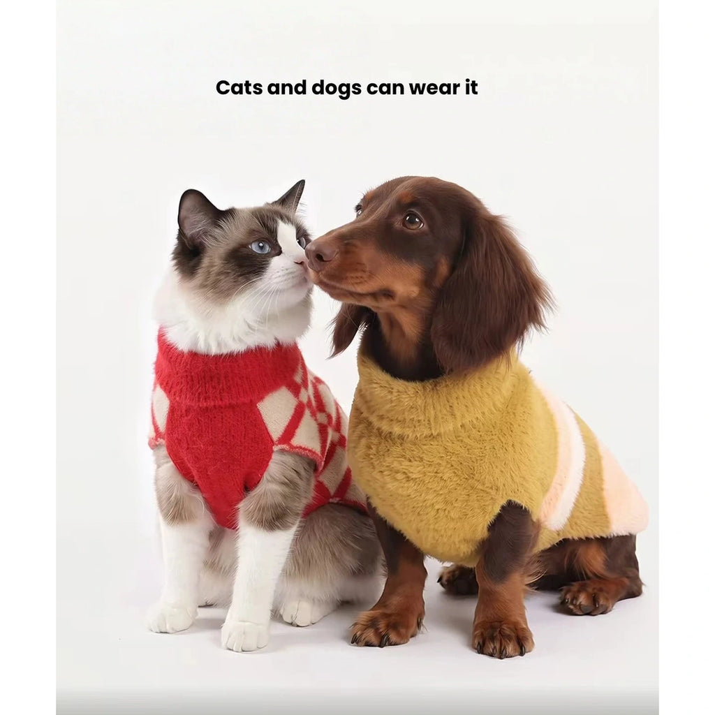 Cat and small dog wearing red checked and mustard Petstar sweater vests
