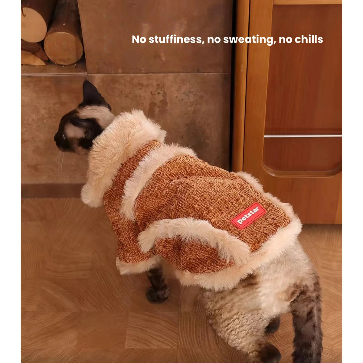 Cat wearing the brown and cream Petstar plush jacket