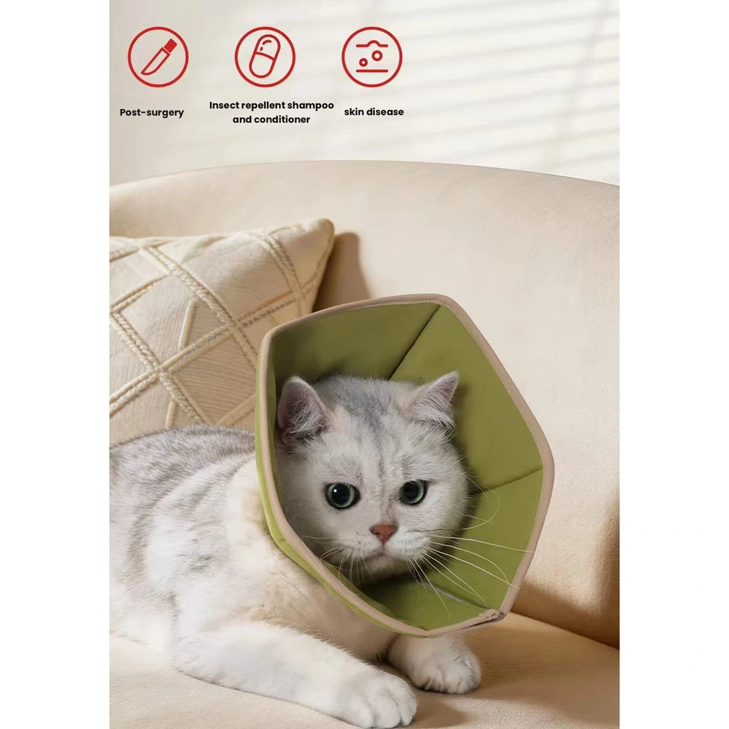 Grey cat resting on a sofa while wearing the green Petstar recovery collar