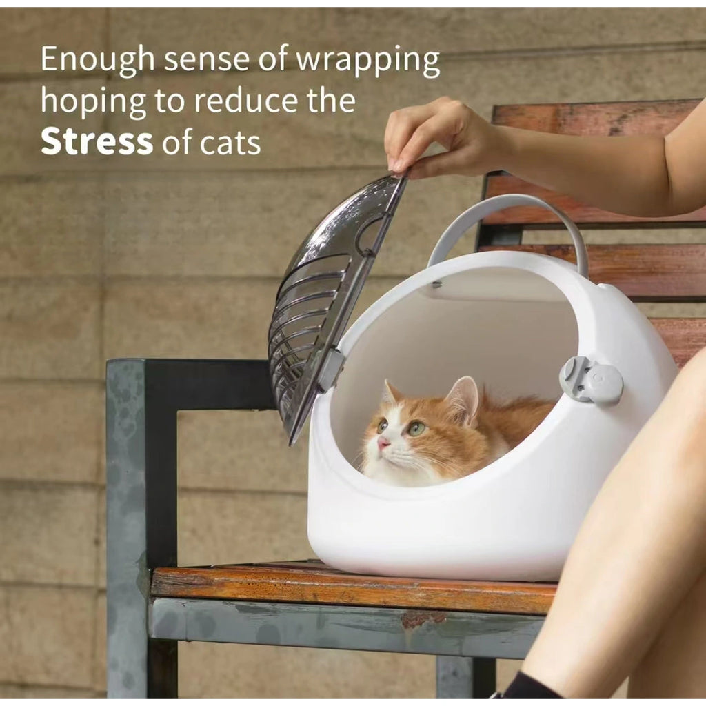 inFluffy carrier being held beside a seated cat
