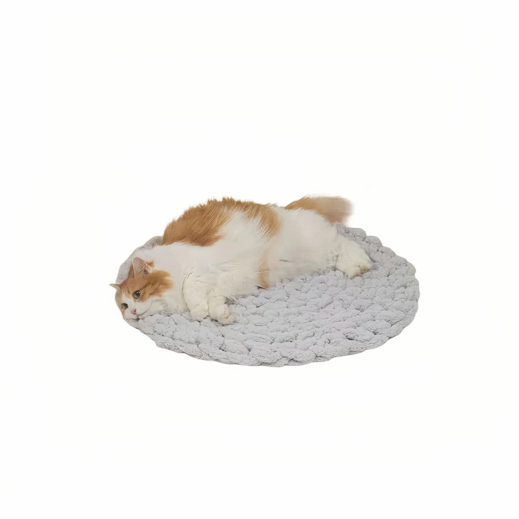Cat sleeping on a grey inFluffy woven round pet mat