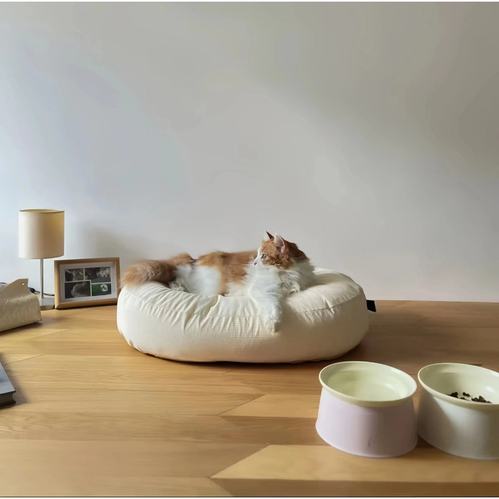 inFluffy bean bag cat bed shown in a living room