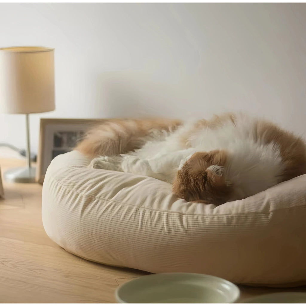 Close-up of a cat curled in the inFluffy corduroy bed