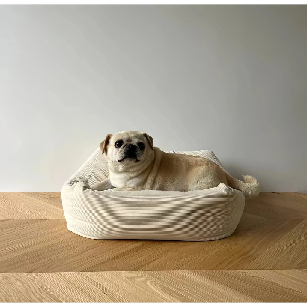 Dog lying across the inFluffy square cushion