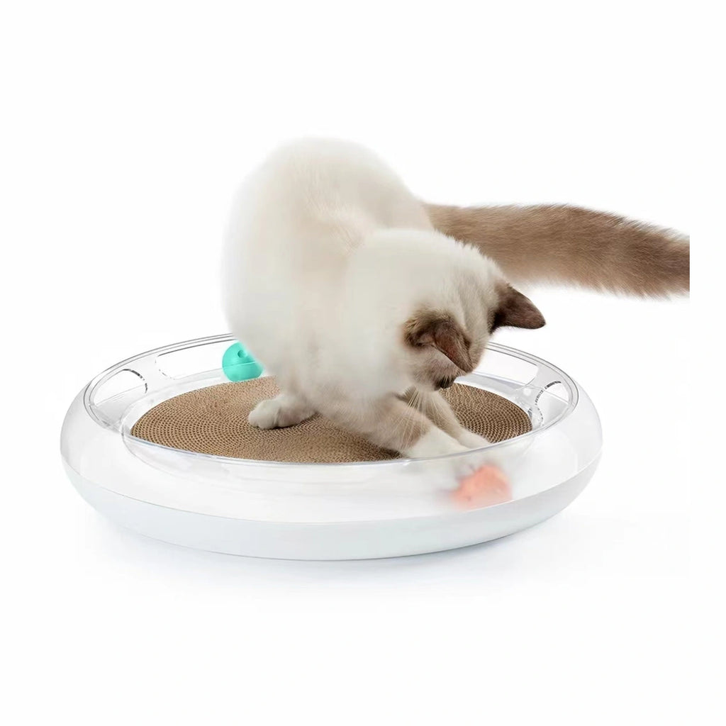 Cat scratching the corrugated centre pad of the PETKIT toy
