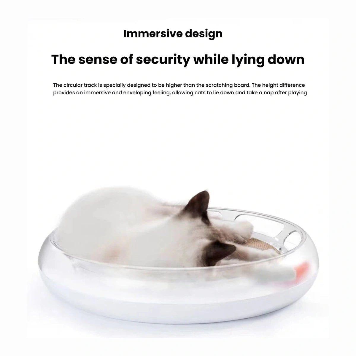 Cat resting inside the round PETKIT scratcher bed