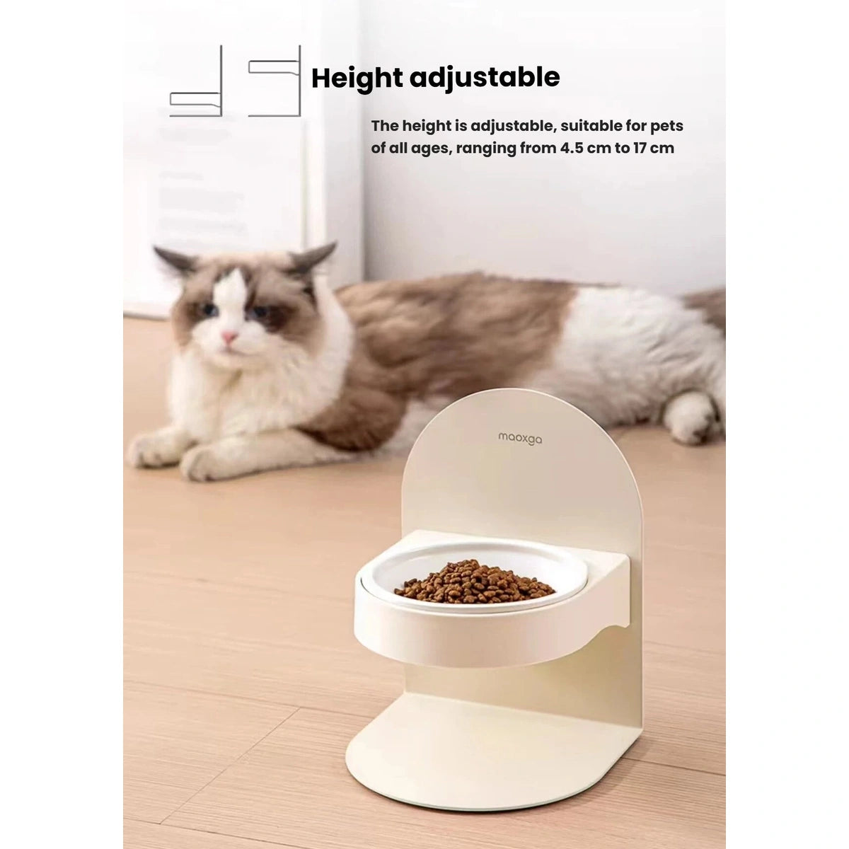 Cat beside an adjustable raised Miao Xiang Jia ceramic bowl at mealtime