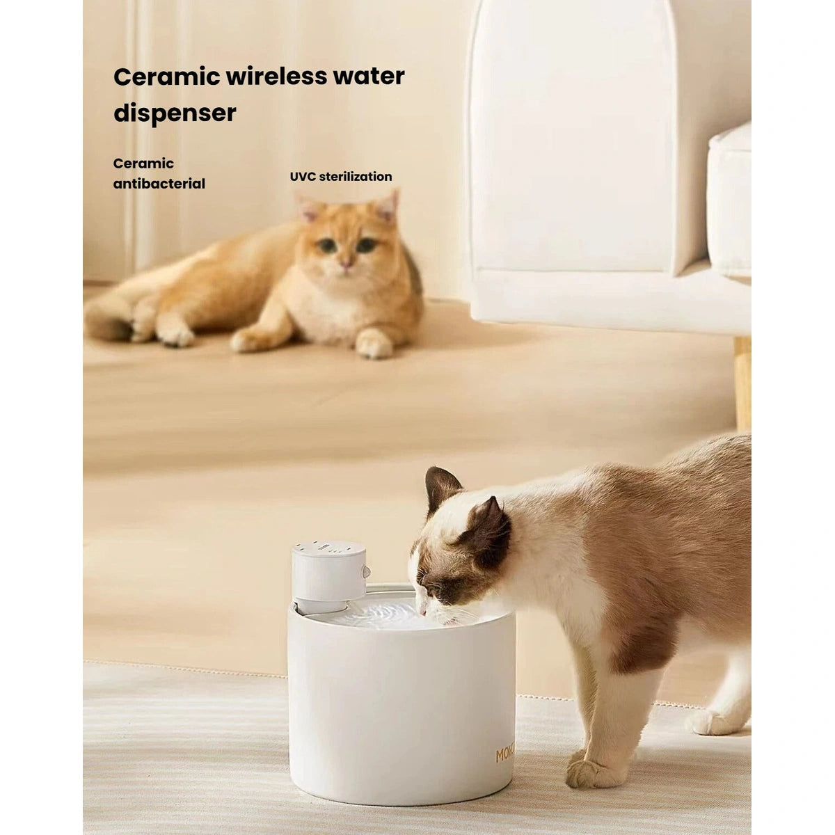 Cats drinking from the white Miao Xiang Jia wireless ceramic fountain