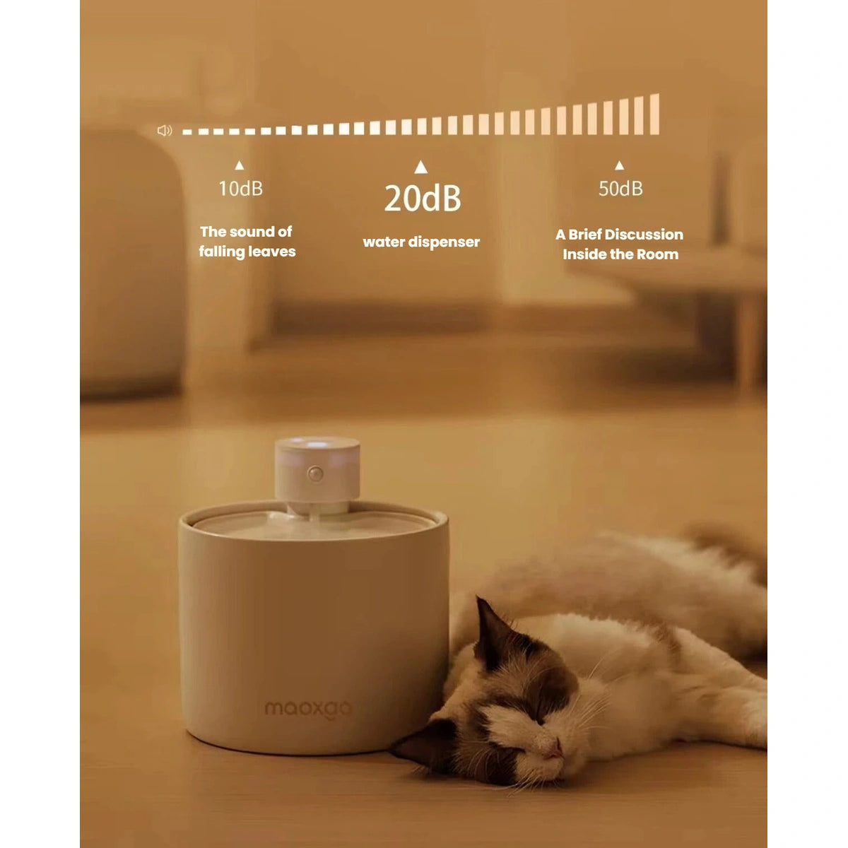 Quiet-flow graphic for the Miao Xiang Jia ceramic cat fountain