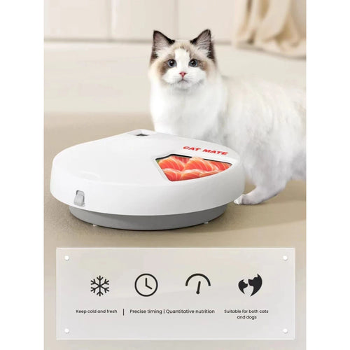 Cat beside the CatMate five-meal timed feeder with food compartment open