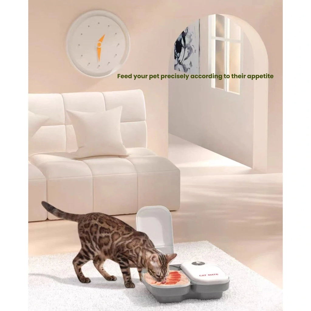 Cat eating from the CatMate timed wet-food feeder