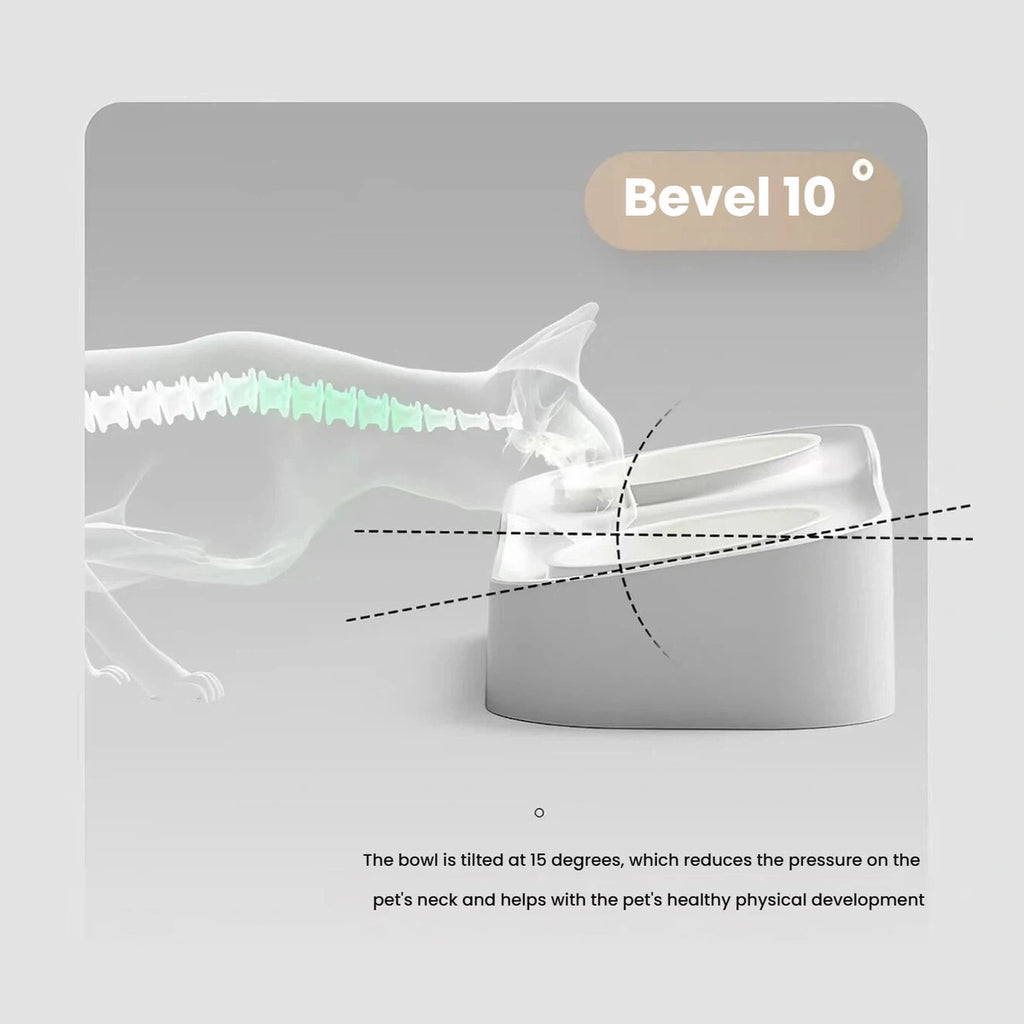 Ten-degree tilted inserts on the Popocola raised double pet bowl
