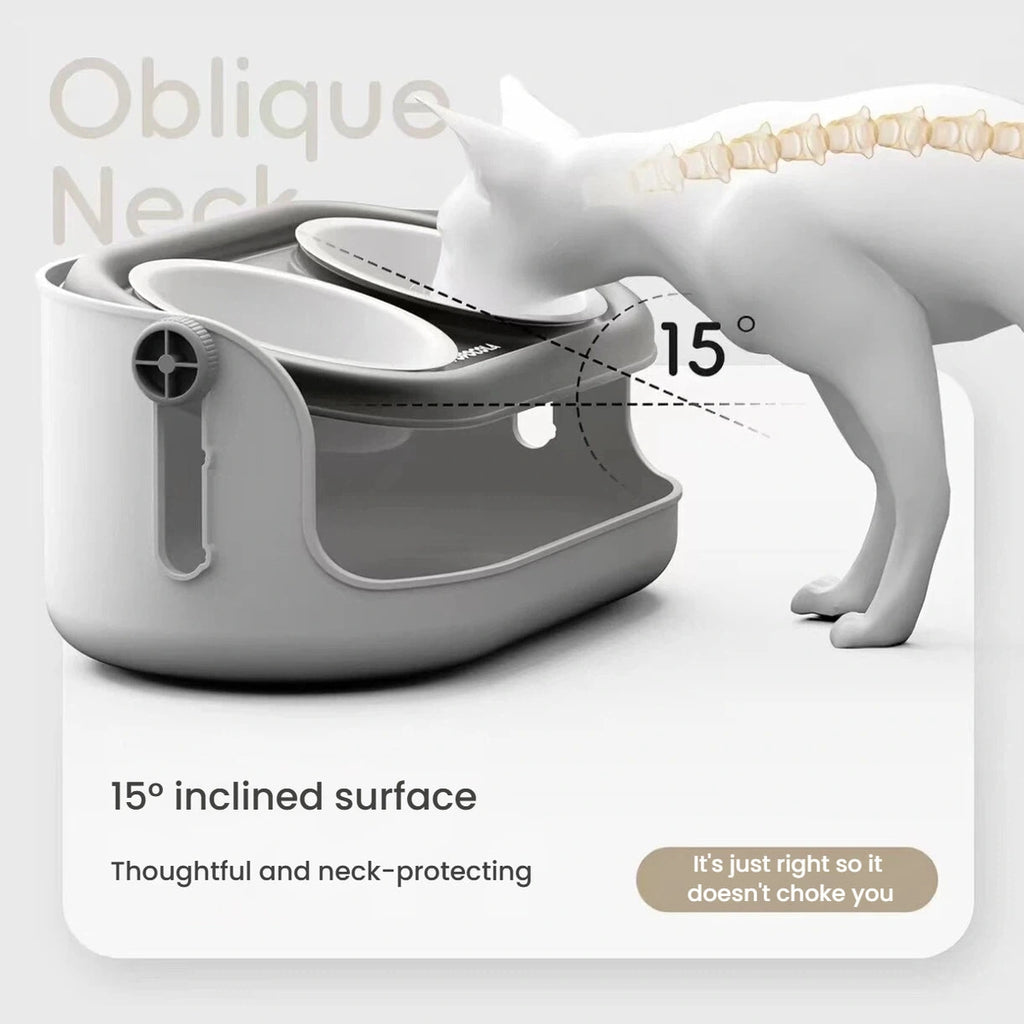 Dog approaching the Popocola pet bowl at its tilted setting