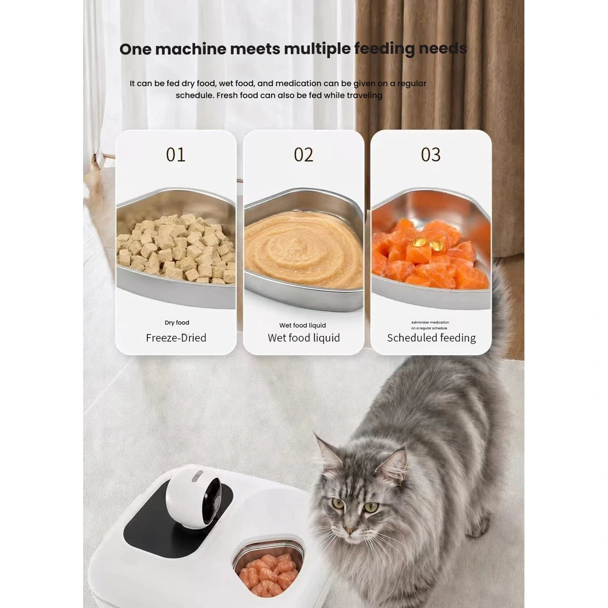 Naipet feeder display showing examples of separate cat-food portions