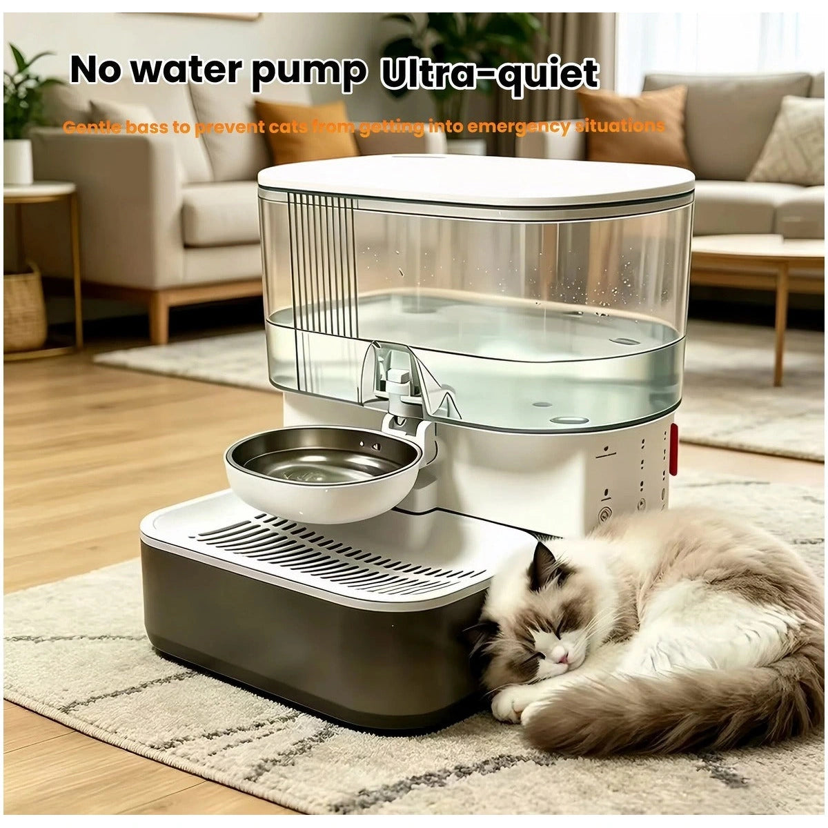 Cat resting beside the pump-free Naipet water dispenser