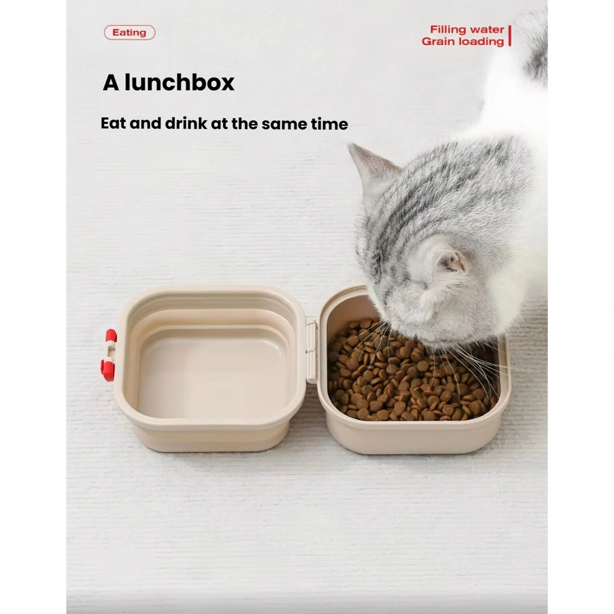 Cat eating from the food side of an open Petstar travel bowl